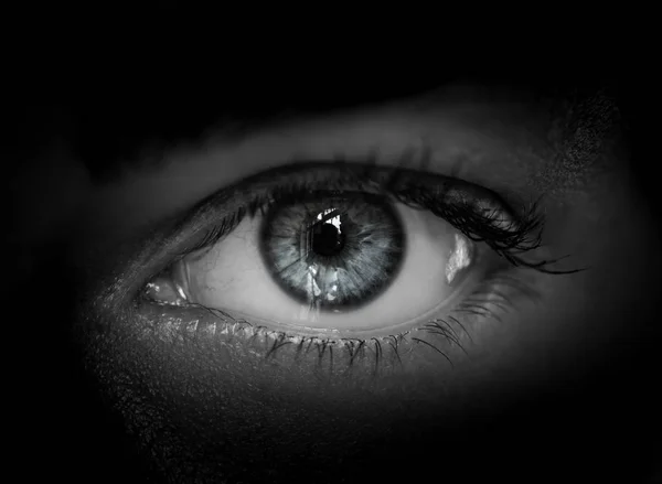 Human eye in black and white toned. — Stock Photo, Image