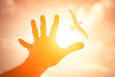 Hand of a man reaching to bird in the sky. clipart