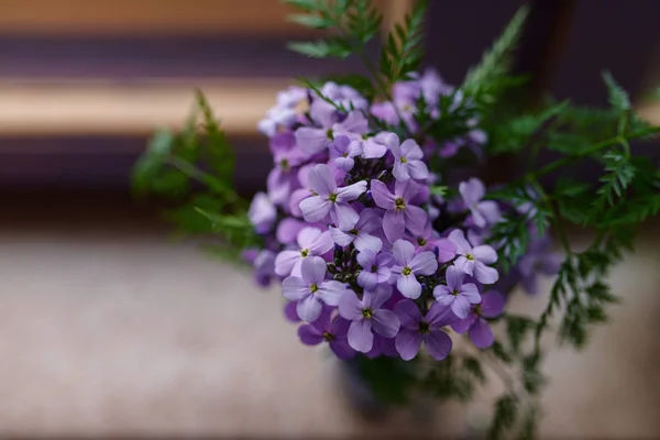 Close-up lilac flowers. — Stock Photo, Image