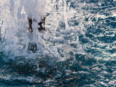 Kavrulmuş kahve çekirdeği..