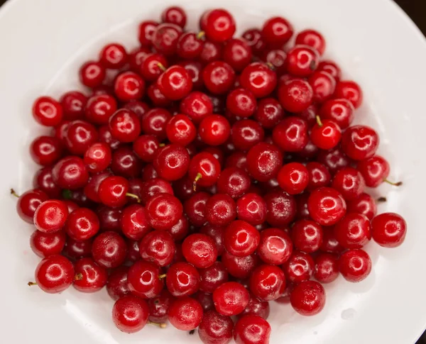 Cherry in a white plate. — Stock Photo, Image
