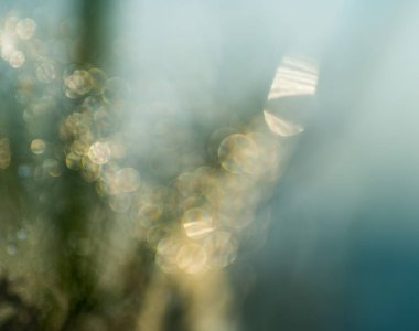 yuvarlak bokeh arka plan.