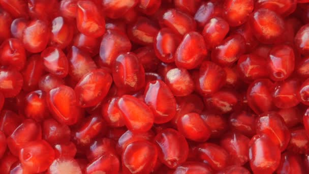 Fresh ripe pomegranate. — Stock Video