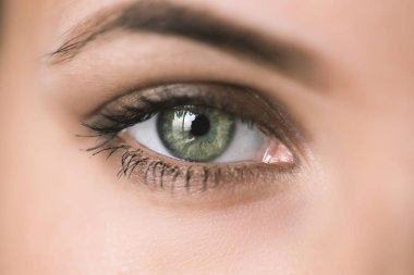 insan gözü yeşil.