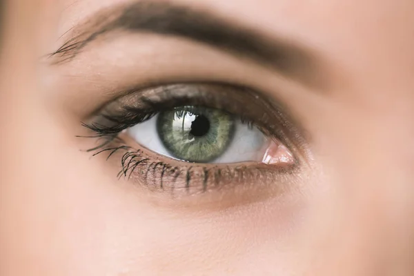 Human green eye. — Stock Photo, Image