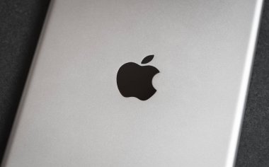 Vladivostok, Rusya - 4 Haziran 2014: Apple ipad mini karanlık artalanları, arka. Apple ipad mini - Apple Inc tarafından tasarlanan tablet pc. 