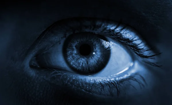 Mavi iris gözü. Makro çekim. — Stok fotoğraf