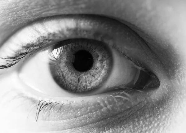 トーンの黒と白の女性の人間の目のマクロ撮影 — ストック写真