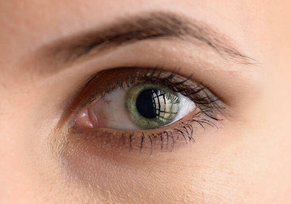 Human green eye with reflection. Macro shot.