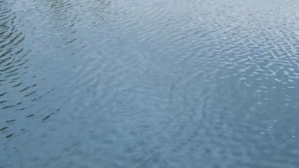 Vattenytan Med Vågor Och Vågor Abstrakt Rörelse Bakgrunden — Stockvideo