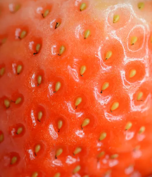 Natural Looking Fresh Red Strawberry Macro Shallow Depth Field — Stock Photo, Image