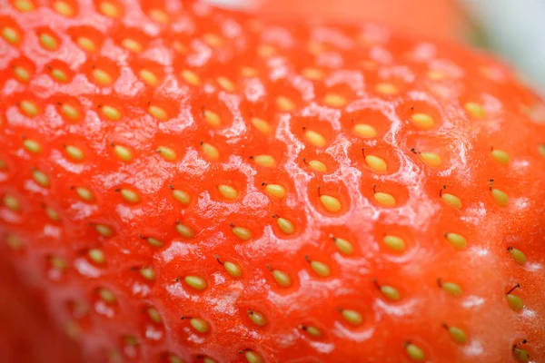 Natural Looking Fresh Red Strawberry Macro Shallow Depth Field — Stock Photo, Image