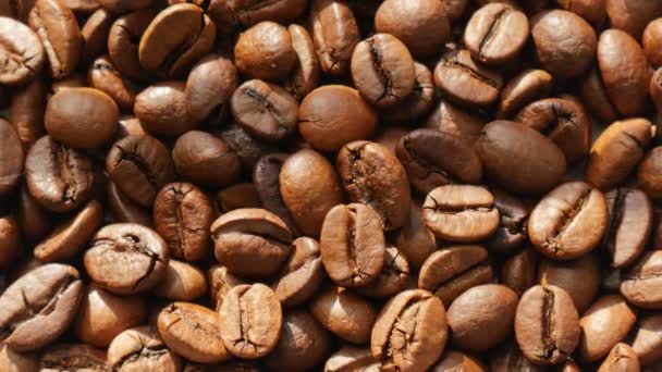 Gebrande Koffiebonen Selectieve Aandacht — Stockvideo