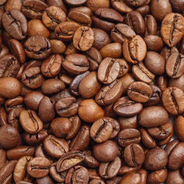 Kavrulmuş kahve çekirdekleri. Seçici odak.