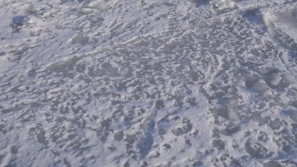 Walking Frozen Sea Hand Hield Footage — Stock Video