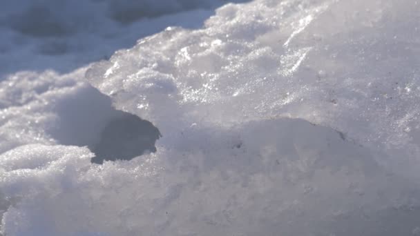 Dirty Ice Chunk Frozen Sea Dolly Shot — Stock Video