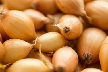 Gıda arka plan olarak taze soğan.