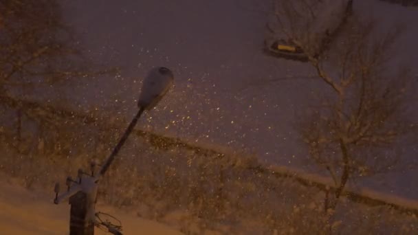 Schnee Der Nachts Auf Dem Hintergrund Von Straßenlaternen Der Stadt — Stockvideo