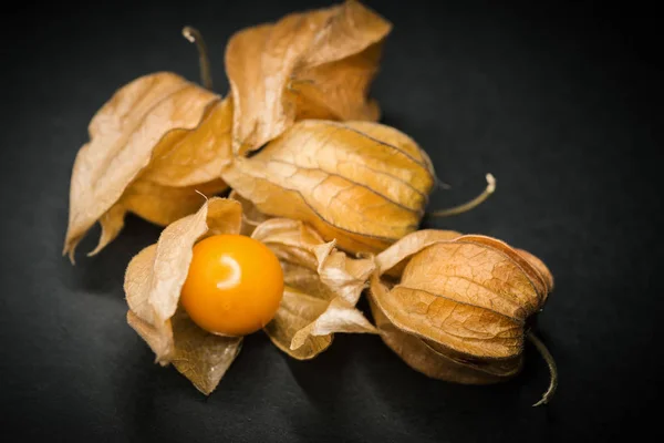 Physalis Grosella Del Cabo Sobre Fondo Oscuro Enfoque Selectivo —  Fotos de Stock