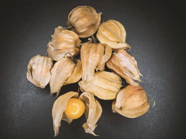 Pęcherzyca Cape Gooseberry Ciemnym Tle Stonowanych Kolorów — Zdjęcie stockowe