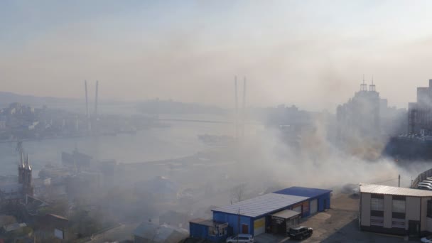 Vladivostok Russia April 2018 Dry Grass Burning Street — Stock Video