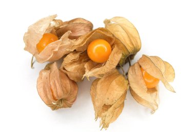 Physalis (Cape bektaşi üzümü) beyaz arka plan üzerinde. Renk tonlu.