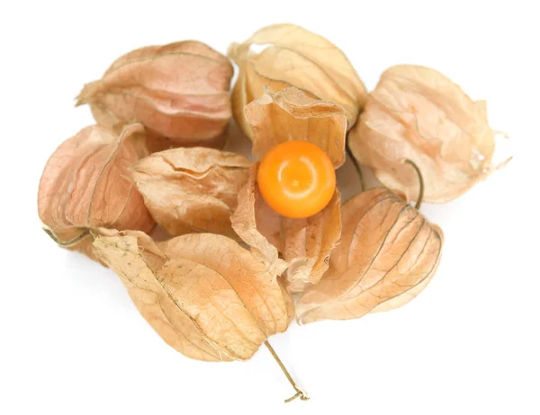 Physalis Mys Angrešt Bílém Pozadí Barva Tónovaný — Stock fotografie