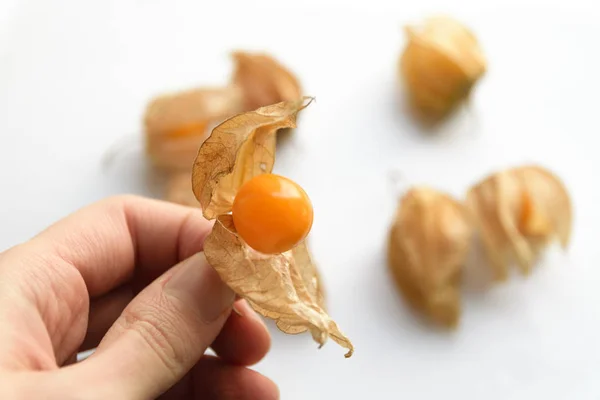 Physalis Grosella Del Cabo Sobre Fondo Blanco Color Tonificado —  Fotos de Stock