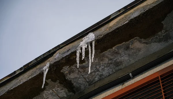 Shiny Icicles Hang Spring Day — Stock Photo, Image