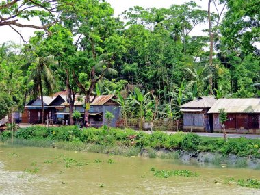 Bangladeş shore Meghna Nehri yakınında Hularhat küçük orman köyüdür