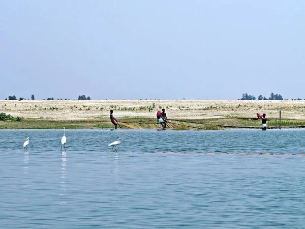 Fisher Mužů Tahání Čisté Yamuna River Řeka Brahmaputra Sariaknadi Bogra — Stock fotografie