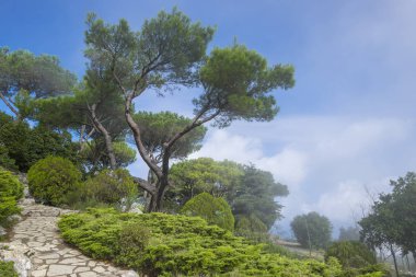 Solaro Dağı zirvesine ince bulutla kaplı