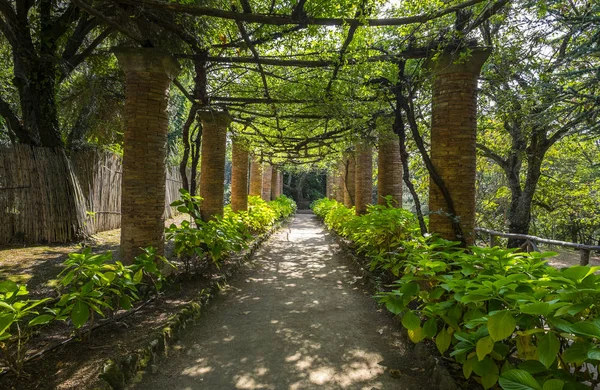 Villa Cimbrone bahçeleri Ravello İtalya kapalı geçit — Stok fotoğraf