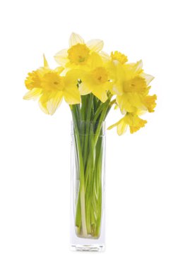 Sarı nergis buketi cam bir vazoda 