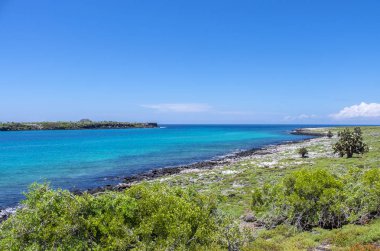 Güney Plaza Adaları Galapagos Ekvador