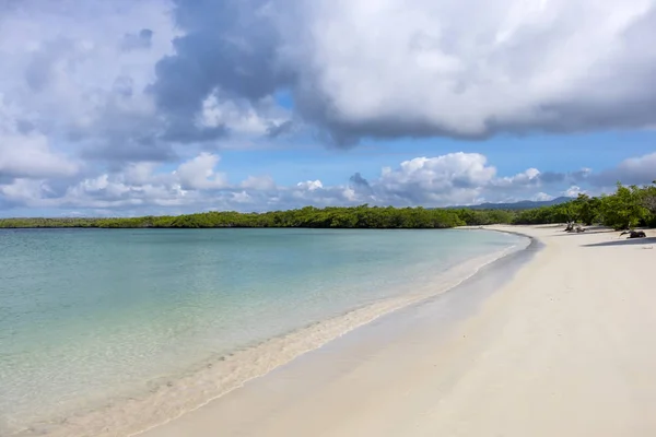 Vacker lagun och Sandy Beach av Tortuga Bay — Stockfoto