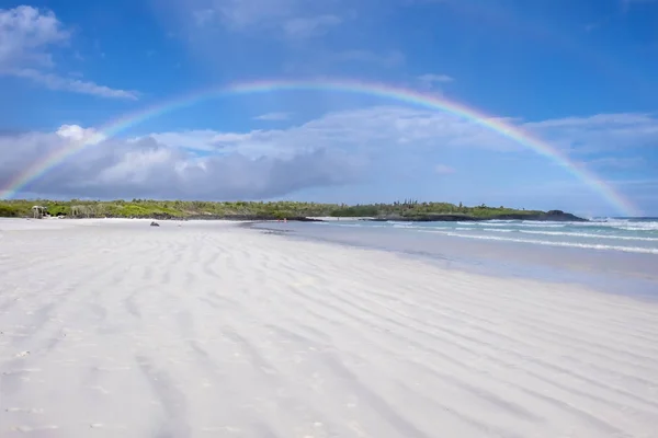 Rainbow Over Tortuga Bay — Stock Photo, Image