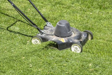 Bir elektrikli çim biçme makinesi ile çim biçme