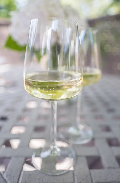 两杯白葡萄酒花园桌上 — 图库照片