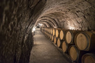 Ribera del Duero - 14 Ekim 2017: Yeraltı depolama şarap varil satır