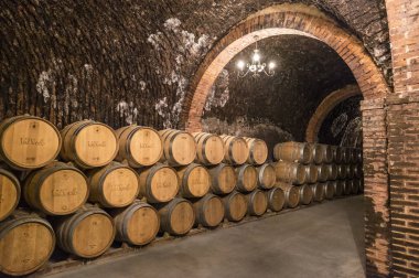 Ribera del Duero - 14 Ekim 2017: Yeraltı depolama şarap varil satır