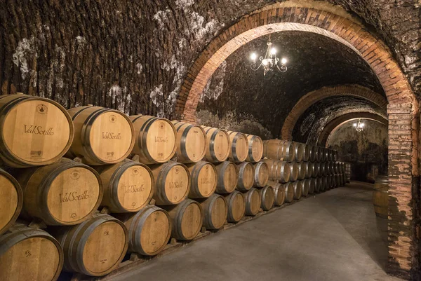 Ribera del Duero – 14. října 2017: řádky sudů na víno v podzemních úložišť — Stock fotografie