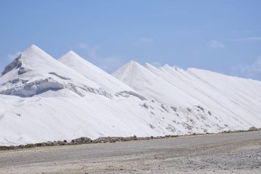 Hollandalı Karayip Adası Bonaire hasat tuz