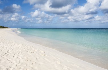Beautiful Eagle Beach Aruba, Southern Caribbean Island clipart