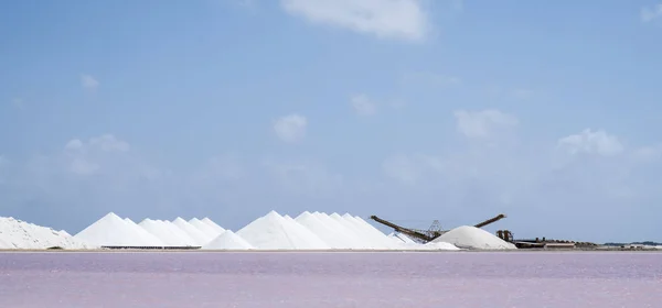 荷兰加勒比岛博内尔收获的盐 — 图库照片