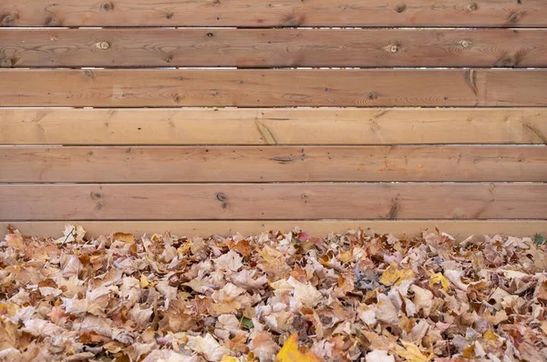 Trockenes Herbstlaub Gegen Einen Neuen Holzzaun — Stockfoto