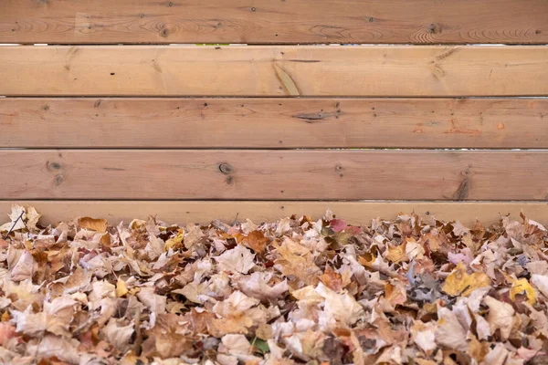 Dry Fallen Autumn Leaves New Wooden Fence — Stock Photo, Image