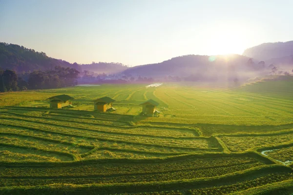 Cottage Terraced Rice Fields Fresh Atmosphere Sunlight Early Morning Background — 스톡 사진