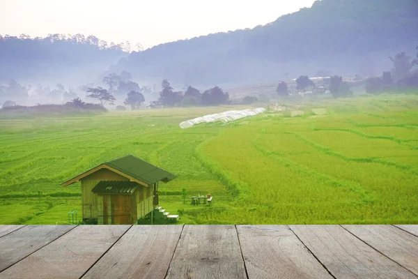 Cottage Terraced Rice Fields Fresh Atmosphere Sunlight Early Morning Background — 스톡 사진