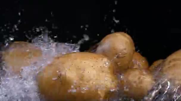 Potatis Isolerad Svart Bakgrund Närbild — Stockvideo